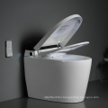 Sinking Water Tank Smart Intelligent Bathroom Luxury Toilet